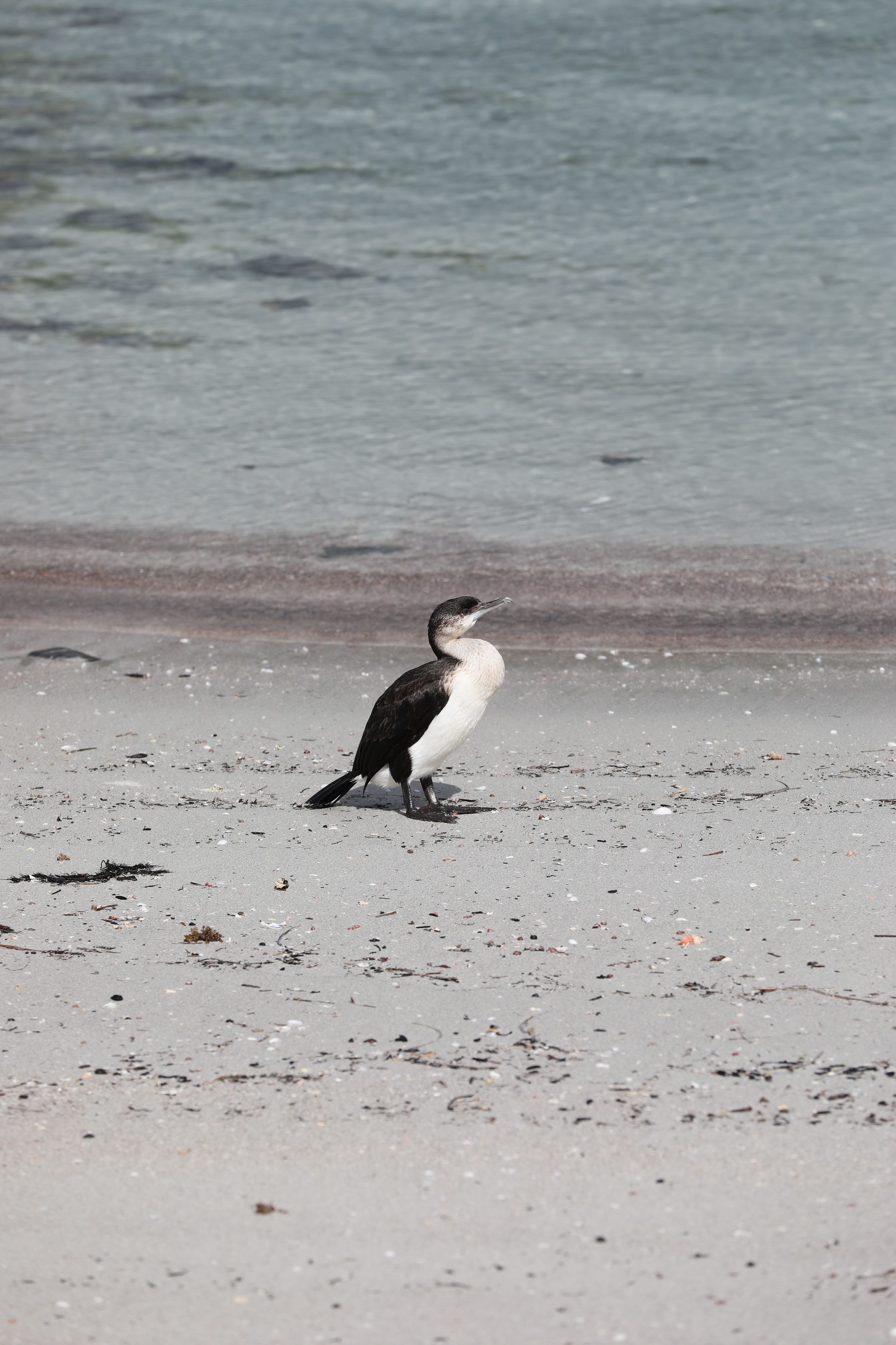 2019 10 07 14 57 11 Canon EOS 5D Mark IV 0022